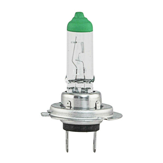 LAMPADINA AUTO H7 12V 55W LONG LIFE