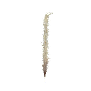 PAMPAS DECORATIVA CREMA H100CM