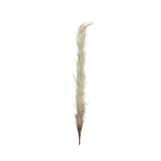 PAMPAS DECORATIVA CREMA H100CM