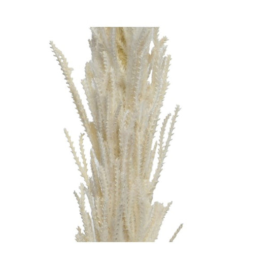 PAMPAS DECORATIVA CREMA H100CM