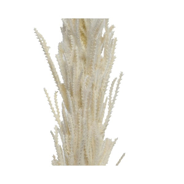 PAMPAS DECORATIVA CREMA H100CM