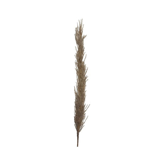 PAMPAS DECORATIVA MARRONE H100CM