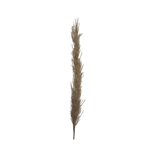 PAMPAS DECORATIVA MARRONE H100CM