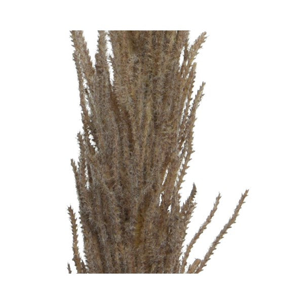 PAMPAS DECORATIVA MARRONE H100CM