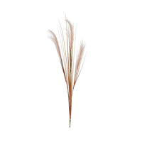 PENNACCHIO DECORATIVO 6XH110CM ROSA TENUE