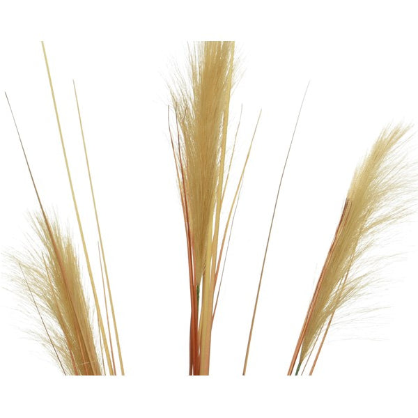 PENNACCHIO DECORATIVO 35XH115CM SABBIA