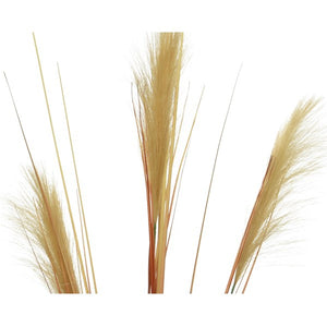 PENNACCHIO DECORATIVO 35XH115CM SABBIA