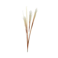 PENNACCHIO DECORATIVO 35XH115CM BIANCO SPORCO