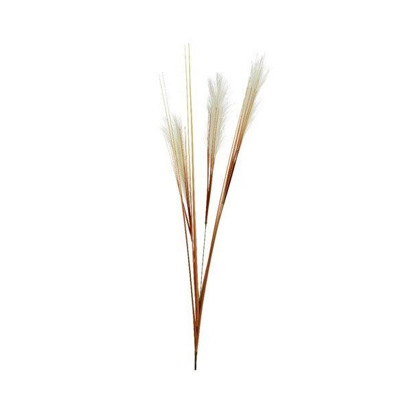 PENNACCHIO DECORATIVO 35XH115CM BIANCO SPORCO