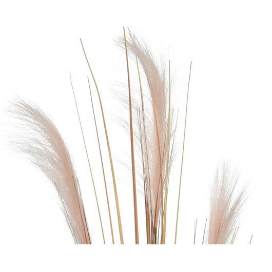 PENNACCHIO DECORATIVO 6XH110CM ROSA TENUE