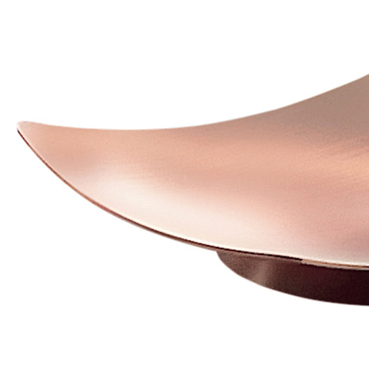 PORTASAPONE ELETTRA 11X8XH2CM INOX RAME