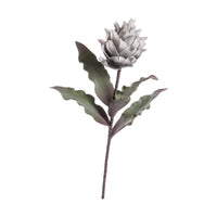 PROTEA PRINCE DECORATIVA 80CM IN 4 COLORI