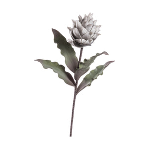 PROTEA PRINCE DECORATIVA 80CM IN 4 COLORI