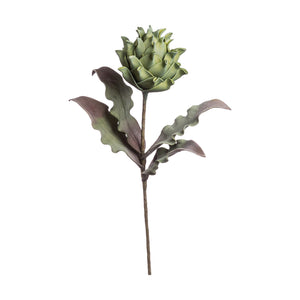 PROTEA PRINCE DECORATIVA 80CM IN 4 COLORI