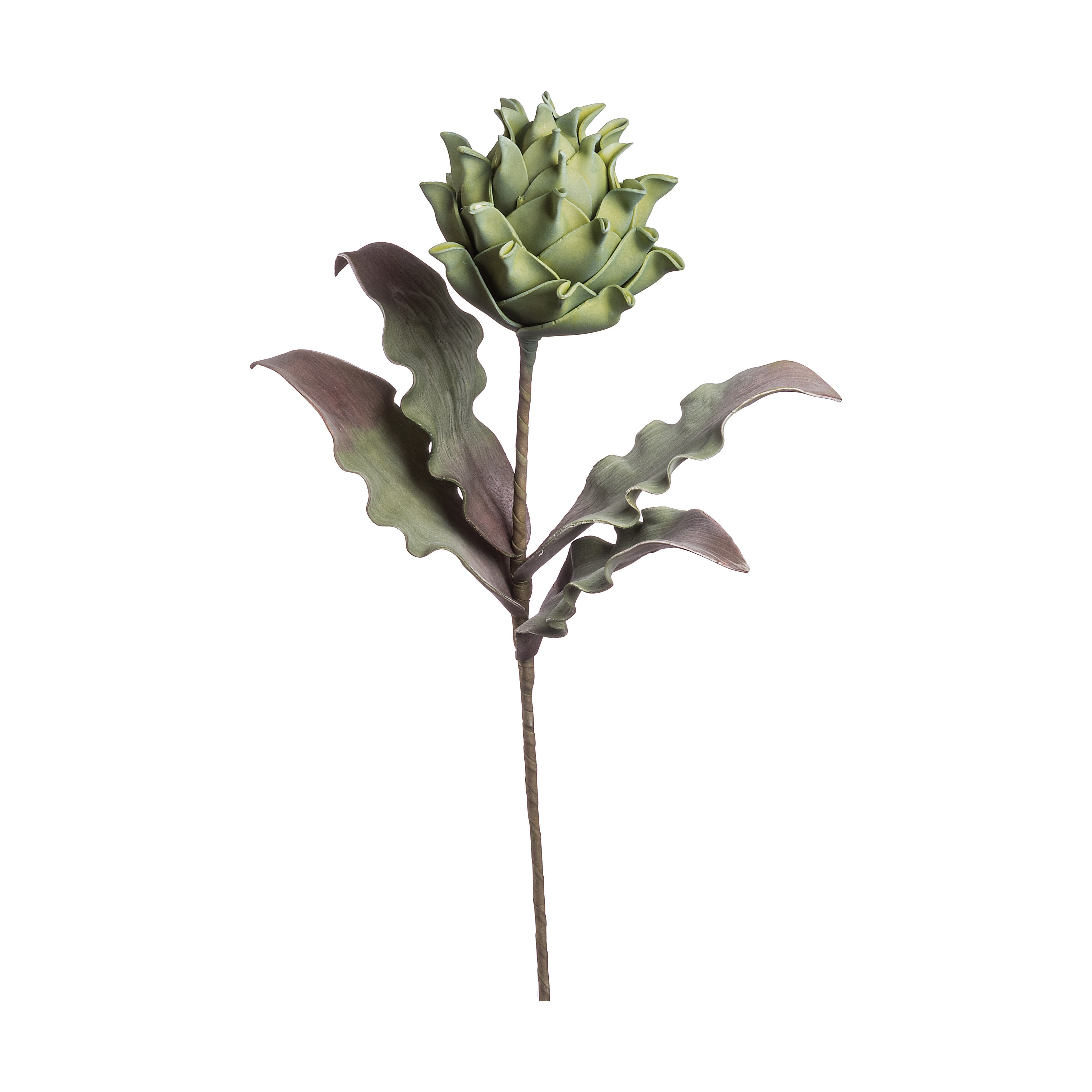 PROTEA PRINCE DECORATIVA 80CM IN 4 COLORI