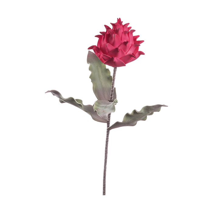 PROTEA PRINCE DECORATIVA 80CM IN 4 COLORI