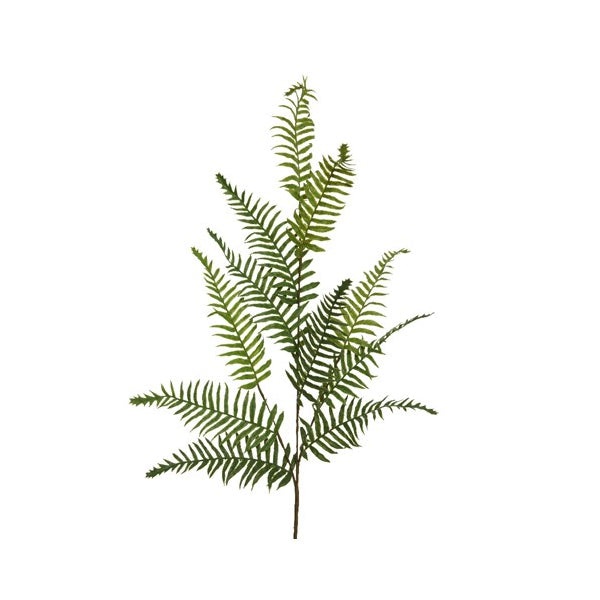 RAMO CON FOGLIE DI FELCE 38XH103CM