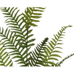 RAMO CON FOGLIE DI FELCE 38XH103CM