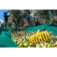 RASTRELLO 9 DENTI IN PLASTICA PER RACCOLTA OLIVE