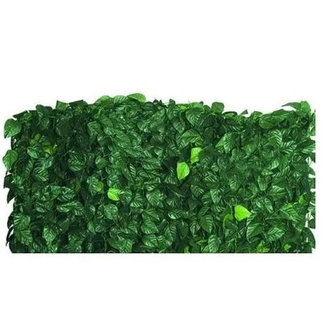 SIEPE SEMPREVERDE LAURO CON RETE 1X3M