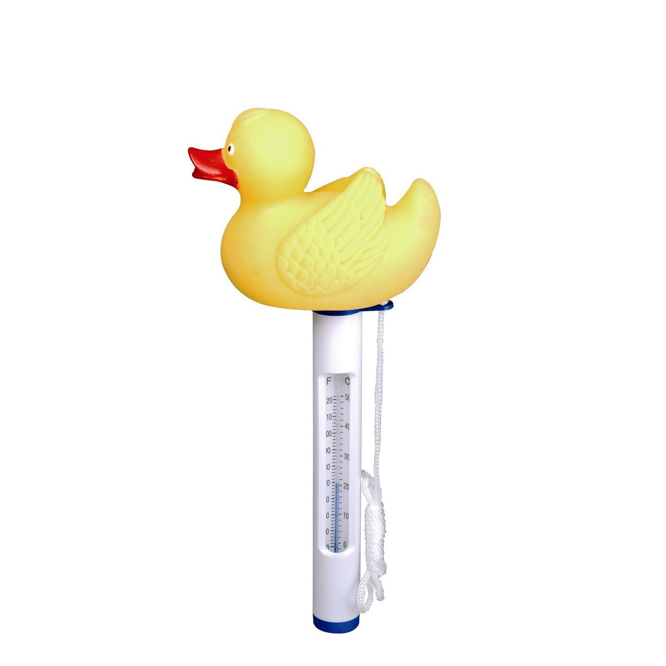 TERMOMETRO GALLEGGIANTE COLORATO