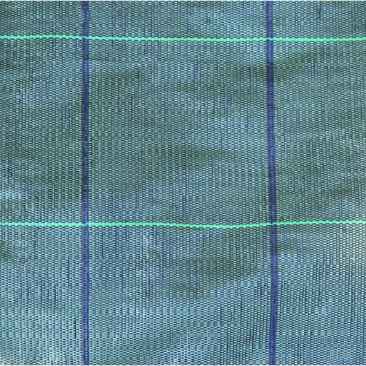 TESSUTO PACCIAMATURA VERDE H100CM 10M CON QUADRO V