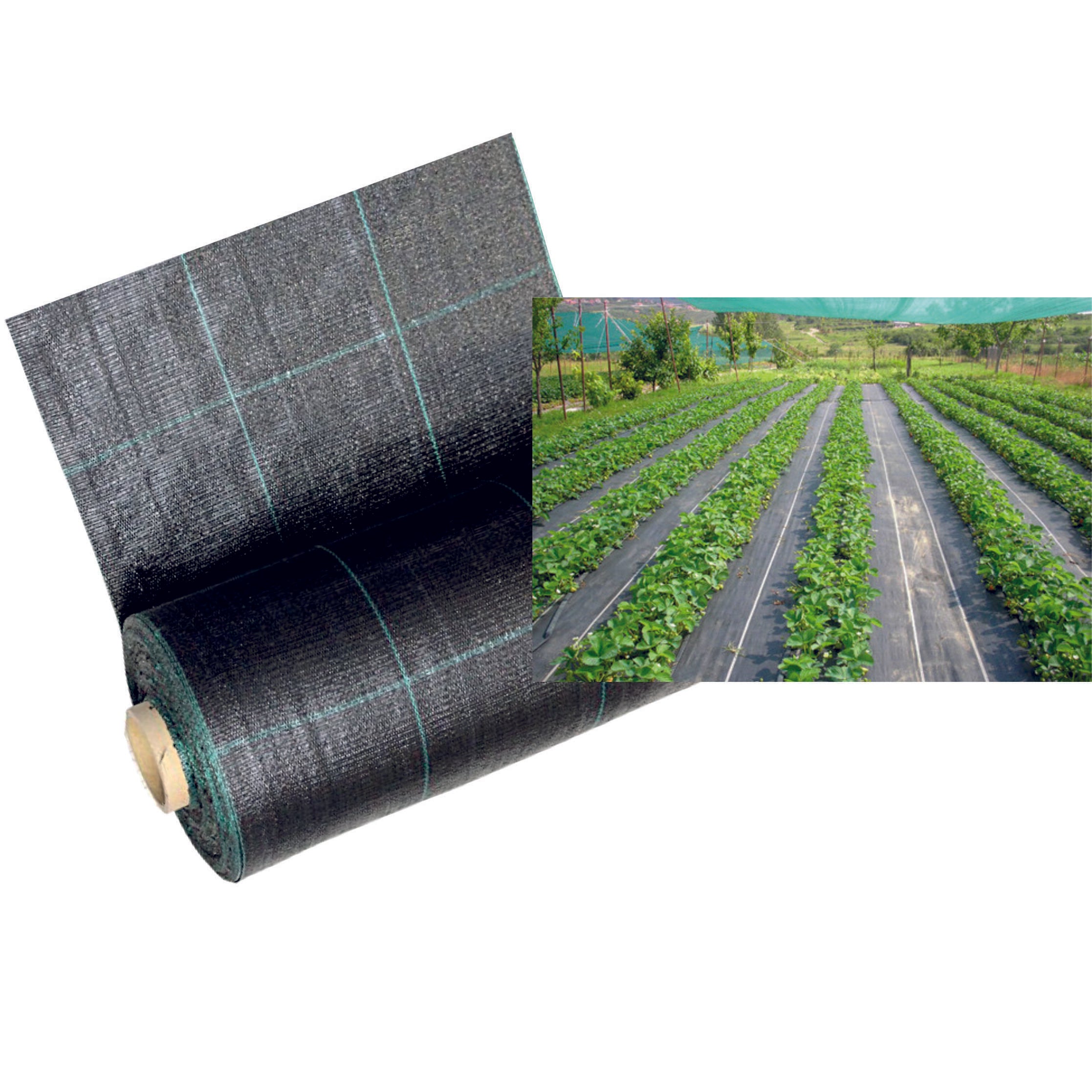 TESSUTO PACCIAMATURA 100GR MT.2X5