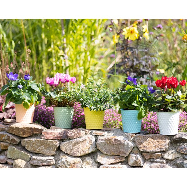 VASETTO IN METALLO OPACO D.11XH11CM BIANCO / VERDE