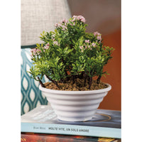 VASO CON FIORI D.12XH16.5CM IN 4 COLORI