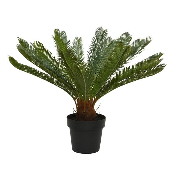 VASO CON CYCAS D.80XH60CM VERDE IN PLASTICA