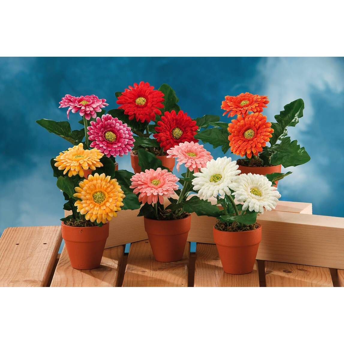 VASO CON FIORI GERBERA D.12XH18CM