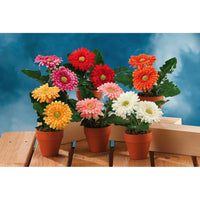 VASO CON FIORI GERBERA D.12XH18CM