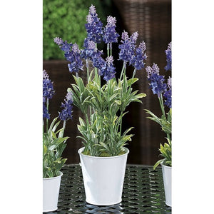 VASO CON LAVANDA D.10.5XH39CM IN 2 MODELLI