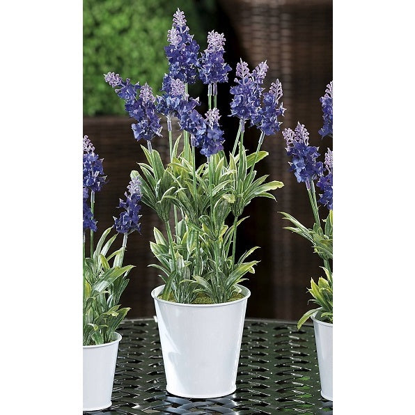 VASO CON LAVANDA D.10.5XH39CM IN 2 MODELLI