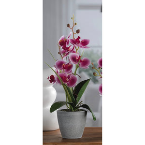 VASO CON ORCHIDEA A 7 FIORI D.10XH38CM IN 4 COLORI