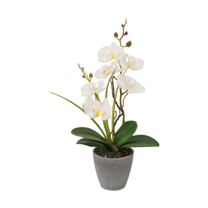 VASO CON ORCHIDEA A 7 FIORI D.10XH38CM IN 4 COLORI