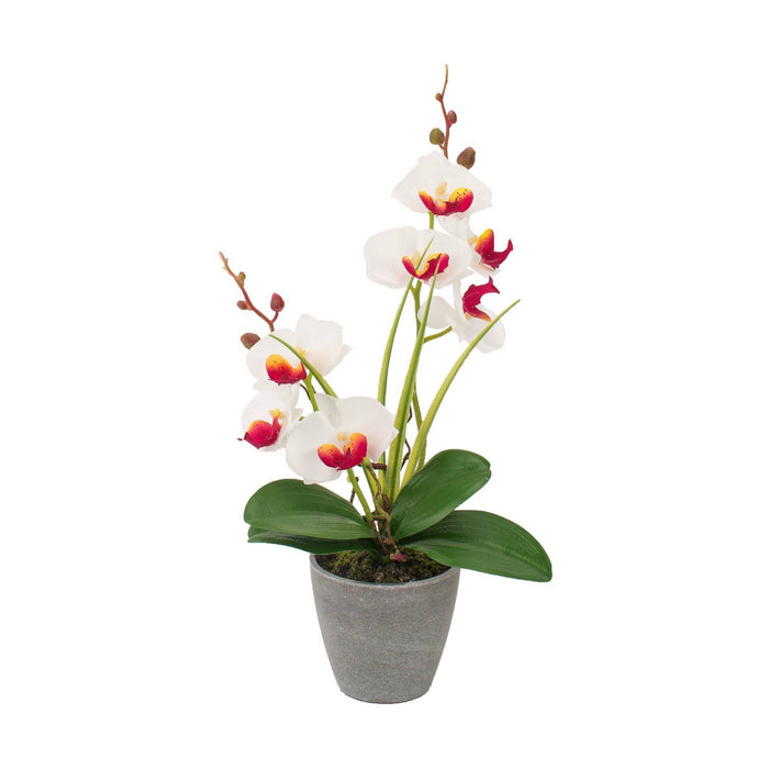VASO CON ORCHIDEA A 7 FIORI D.10XH38CM IN 4 COLORI