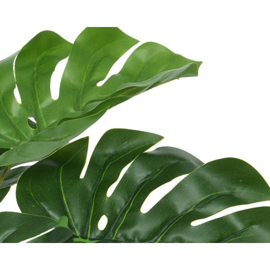 VASO CON MONSTERA D.25XH25CM