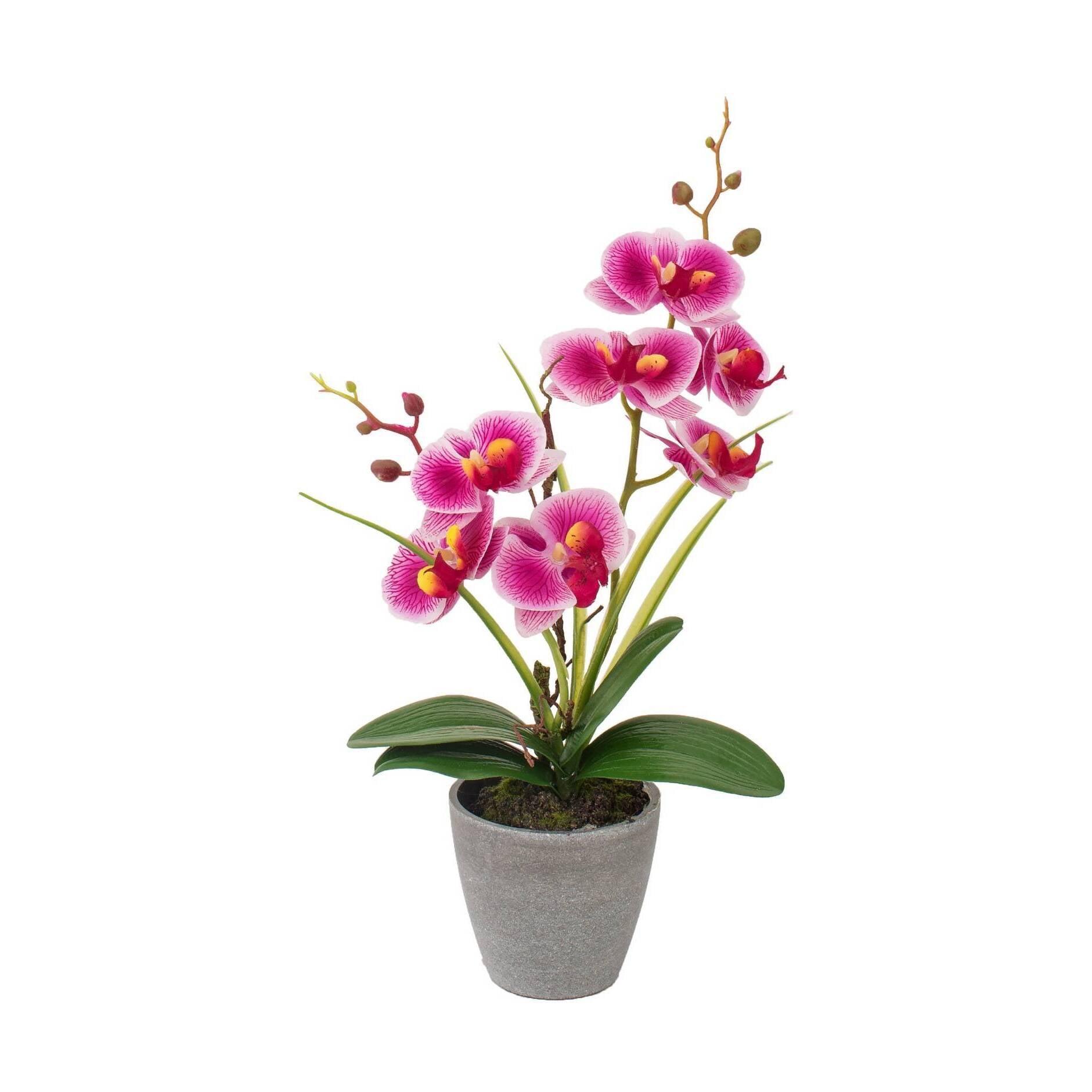VASO CON ORCHIDEA A 7 FIORI D.10XH38CM IN 4 COLORI