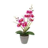 VASO CON ORCHIDEA A 7 FIORI D.10XH38CM IN 4 COLORI