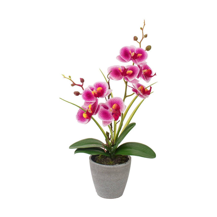 VASO CON ORCHIDEA A 7 FIORI D.10XH38CM IN 4 COLORI