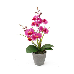 VASO CON ORCHIDEA A 7 FIORI D.10XH38CM IN 4 COLORI