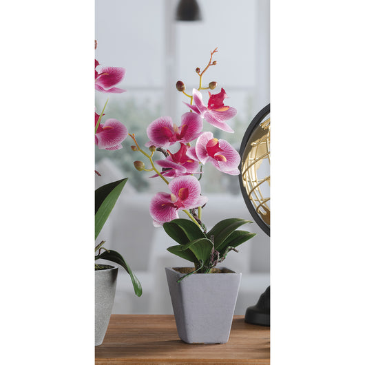 VASO CON ORCHIDEA D.8XH34CM IN 4 COLORI CON 5 FIOR
