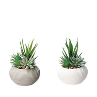 VASO CON PIANTA GRASSA DECORATIVA D.11XH15CM IN 2