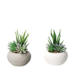 VASO CON PIANTA GRASSA DECORATIVA D.11XH15CM IN 2