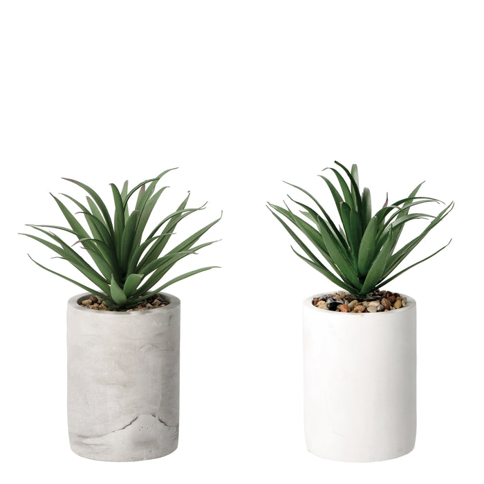 VASO CON PIANTA GRASSA DECORATIVA D.9XH22CM IN 2 C