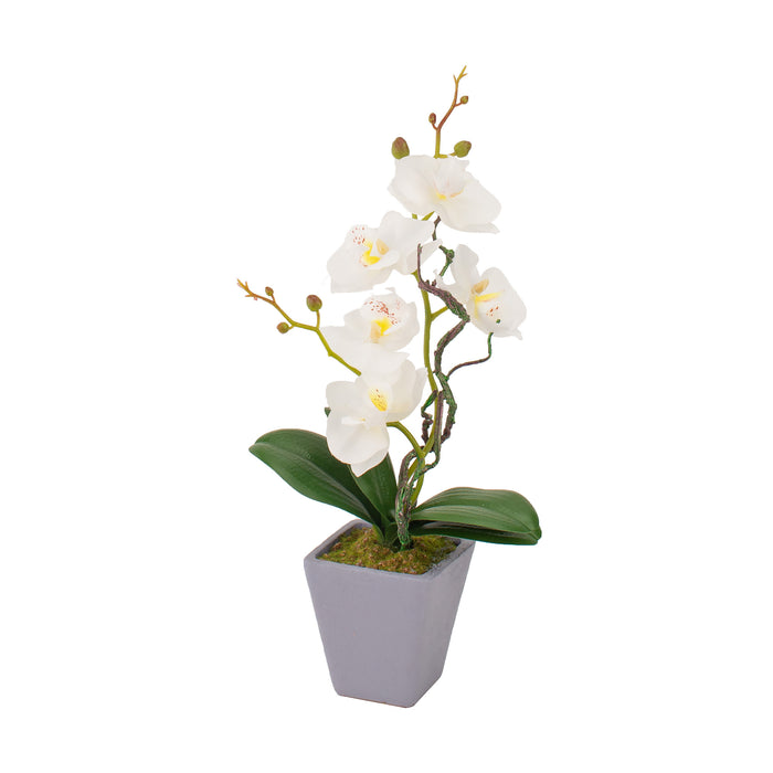 VASO CON ORCHIDEA D.8XH34CM IN 4 COLORI CON 5 FIOR