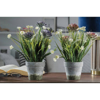 VASO CON PIANTINE D.10XH30CM IN 2 COLORI