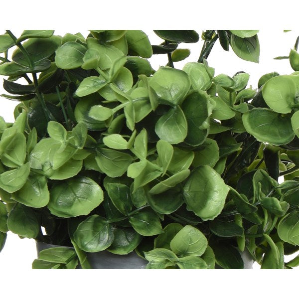 VASO CON PIANTINA H21CM IN 4 MODELLI