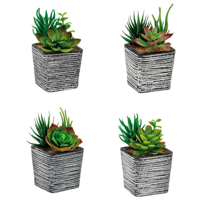 VASO CON PIANTE GRASSE 8X8XH14CM IN 4 COLORI